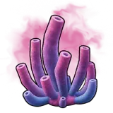 Weird Coral icon from SAND Game DB
